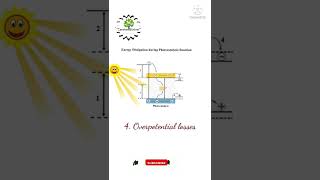 Photocatalysis Concepts  Energy losses  Shorts [upl. by Eriha255]