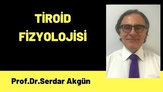 Fizyoloji Tiroid Fizyolojisi Endokrinoloji Tıp Dersleri 1Bölüm [upl. by Dis]