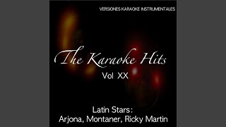 Echame a Mi la Culpa Karaoke Version Originally Performed By Ricardo Montaner [upl. by Ahtael]