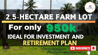 Vlog087 25hectare farm lot for only 950k best for retirementplan and investment [upl. by Ateloiv]