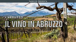 Montepulciano Trebbiano e il successo internazionale il vino in Abruzzo  Tannico [upl. by Longo]