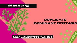 Duplicate Dominant Epistasis [upl. by Nnylatsirk650]