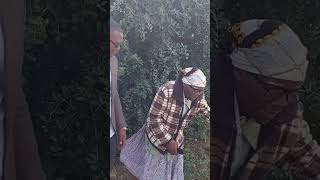 Ndiri na thiri kwa ngoma fypシ゚viral tredning trending foryou funny prank subscribe follow [upl. by Galligan]