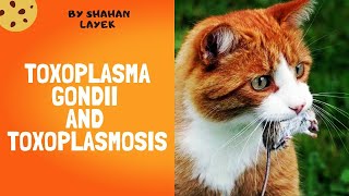 Toxoplasma Gondii and Toxoplasmosis  Clinical Manifestations  Life cycle  Treatment [upl. by Eadith]