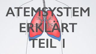 Atmung Teil 1  Medizin Grundlagen [upl. by Hairim]