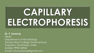 Capillary Electrophoresis CE [upl. by Sholley848]