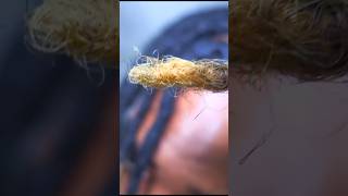 2 Year Dreadlock Journey Update  Loc Journey [upl. by Laroc]