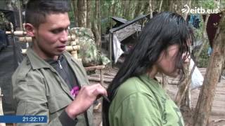 El 35  de los guerrilleros de las FARC son mujeres [upl. by Naga15]