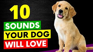 10 Sounds Your Dog Will Love [upl. by Adiesirb450]