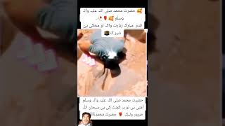 exploreformepage viralvideo foryou funny lifestylechannel lifestylevlog quotes islamicvideo [upl. by Novyak510]