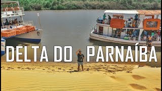 O PASSEIO DE BARCO QUE VOCÊ RESPEITA  DELTA DO PARNAÍBA [upl. by Ferdie110]