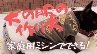 【買ったみたい！】超簡単！犬服の作り方〜ぶきっちょさんでもぜんぜん大丈夫！〜【Frenchbulldogフレンチブルドッグ】 [upl. by Skyler]