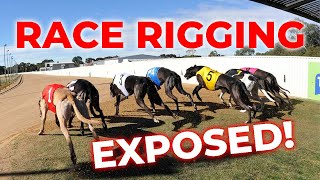 Ipswich Greyhound Race Rigging [upl. by Pyle]