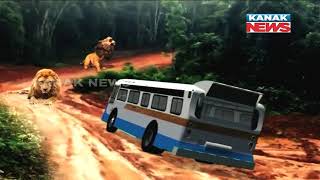 Safari Bus Stuck Among Lions In Nandankanan For 30 Mins [upl. by Cho]