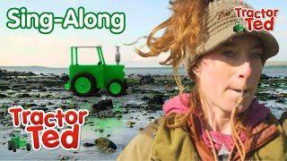 Come Bye 🐶  Tractor Ted SingAlong 🎶  Tractor Ted Official Channel [upl. by Yrot]