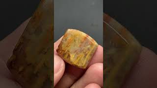 Natural Petrified Palm Wood Cabochon 20x18x4mm High Quality 17 ct [upl. by Curren]