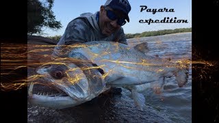 Expedition  Payara fishing  Colombia [upl. by Nidak569]