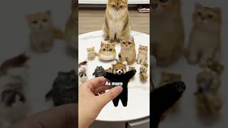 How to deal with kittens hair loss shortvideo cuteanimals pets cute cat [upl. by Kristi644]