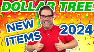 NEW Dollar Tree Haul 2024 New Years Gems on a Budget [upl. by Ariak]