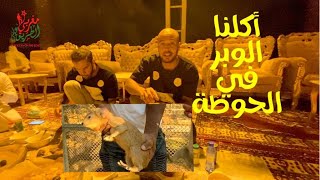 تجربة أكل الوبر و الأرنب البري في الحوطة بالسعودية [upl. by Grimbald]