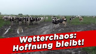 Wetterchaos Hoffnung bleibt  My KuhTube Film 839 [upl. by Wiggins477]