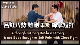 戚繼光云：「呂紅八下雖剛，未及綿張短打」Although LuHongBaShi is Strong is not Good Enough as Soft Palm with Close Fight [upl. by Ahsahs225]