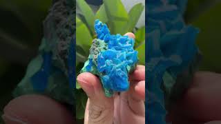 chalcanthite on malachite crystal pocket [upl. by Happ]