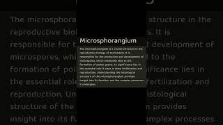 12 biology microsporangium [upl. by Amilah]