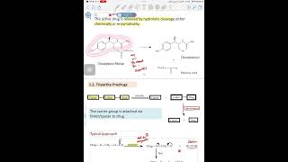 Organic chemistry Lec 2 part 2  Prodrug of functional groups [upl. by Bryant]