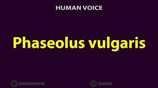 How To Pronounce Phaseolus vulgaris [upl. by Rosmunda372]