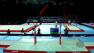 WHITTENBURG Donnell USA  2017 Artistic Worlds Montréal CAN  Qualifications Parallel Bars [upl. by Aerol]