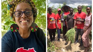 Rooted in Resilience Recent Developments in Our Gambian Permaculture Food Forest [upl. by Nettie]