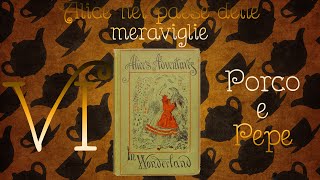 Lettura Alice nel Paese delle Meraviglie  Capitolo 6 [upl. by Anauqcaj244]