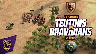 1v1 Arabia  Teutons vs Dravidians  vs Hera [upl. by Eirlav]