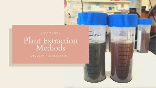 Plant Extraction Methods  Decoction and Maceration  JPTV [upl. by Ielhsa361]