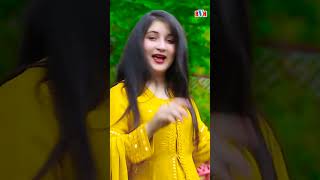 Deer De Belooza  Noom Wa Nakhley Da Khkolo Tobah Tobah Zargiya  Gulalai Swati  Official Video [upl. by Lillith765]