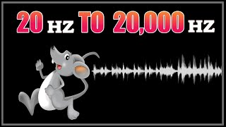 Ultrasonic Sound 20000 Hz Mouse and Rat Repellent [upl. by Vigen]