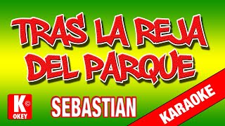 🎤 Karaoke TRAS LA REJA DEL PARQUE Sebastian karaokelatino cuarteto sebastian [upl. by Buller570]