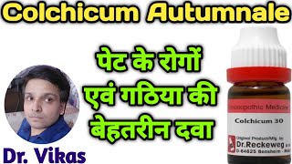 Colchicum Autumnale Homeopathic Medicine II Colchicum 30 Uses In Hindi II Colchicum [upl. by Girardo]