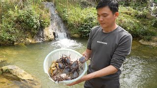 Catch crabs to cook and sell pomelos Robert  Green forest life [upl. by Hayouqes]