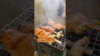 Yakitori on the Hibachi Grill 🍢🔥 Japanese Grilled Chicken homemade mealinspo 🚋 [upl. by Eidderf337]