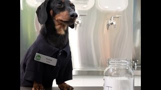 Crusoe Works as Bartender at Ecobar for Earth Day [upl. by Aleron982]