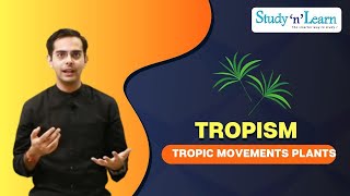 Tropism  Tropic Movements of Plants  Biology  Control and Coordination [upl. by Hsetim]