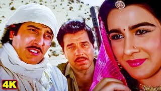 लुटेरे के रूप में देखकर आपका क्या ख्याल है  Dharmendra Amrita Singh Vinod Khanna  Climax Scene [upl. by Christin]