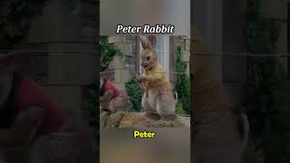 Peter rabbit [upl. by Eniluqcaj]