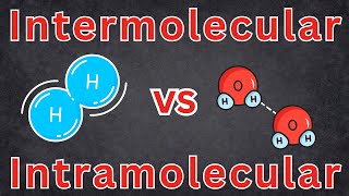 Intramolecular And Intermolecular Forces Chemistry Chemical Bonds High School Chemistry [upl. by Delanie348]