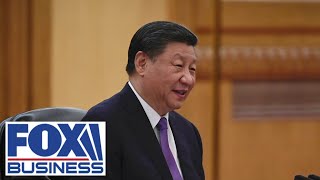 Dangerous time China expert warns Xi Jinping is at risk [upl. by Llenwahs952]