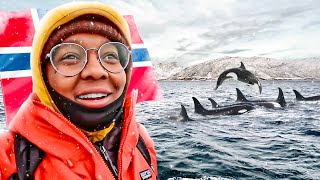 Nomad In Norway 🇳🇴Sailing The ArcticMy First Catamaran Adventure😳247 [upl. by Lemire]