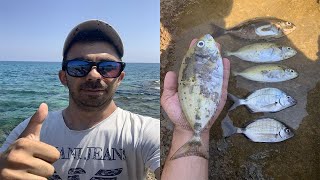 25072021 KIBRIS SOKAN SOKAR AVI SIGANUS RIVULATUS κουρκούνες FISHING IN CYPRUS [upl. by Fesoy]