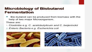 Butanol production part 1 [upl. by Osy791]